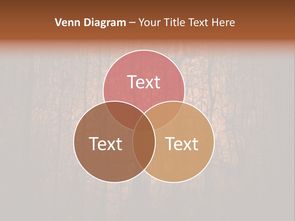 Skirt Garment Fashion PowerPoint Template