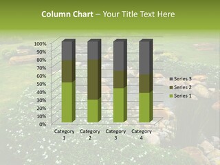 View Fresh Park PowerPoint Template