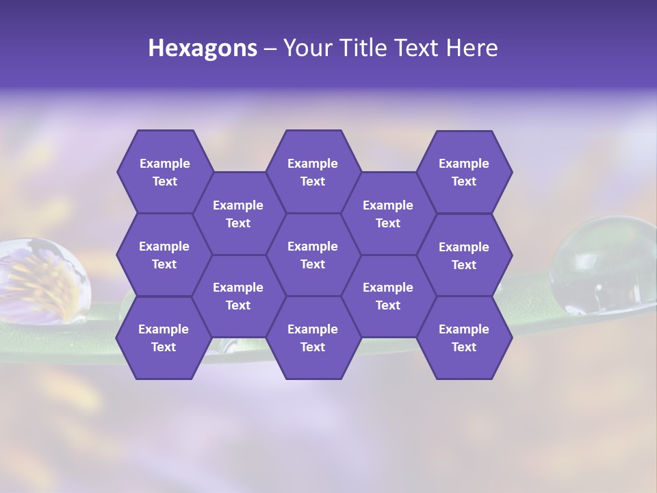 Mirroring Daisy Grass PowerPoint Template