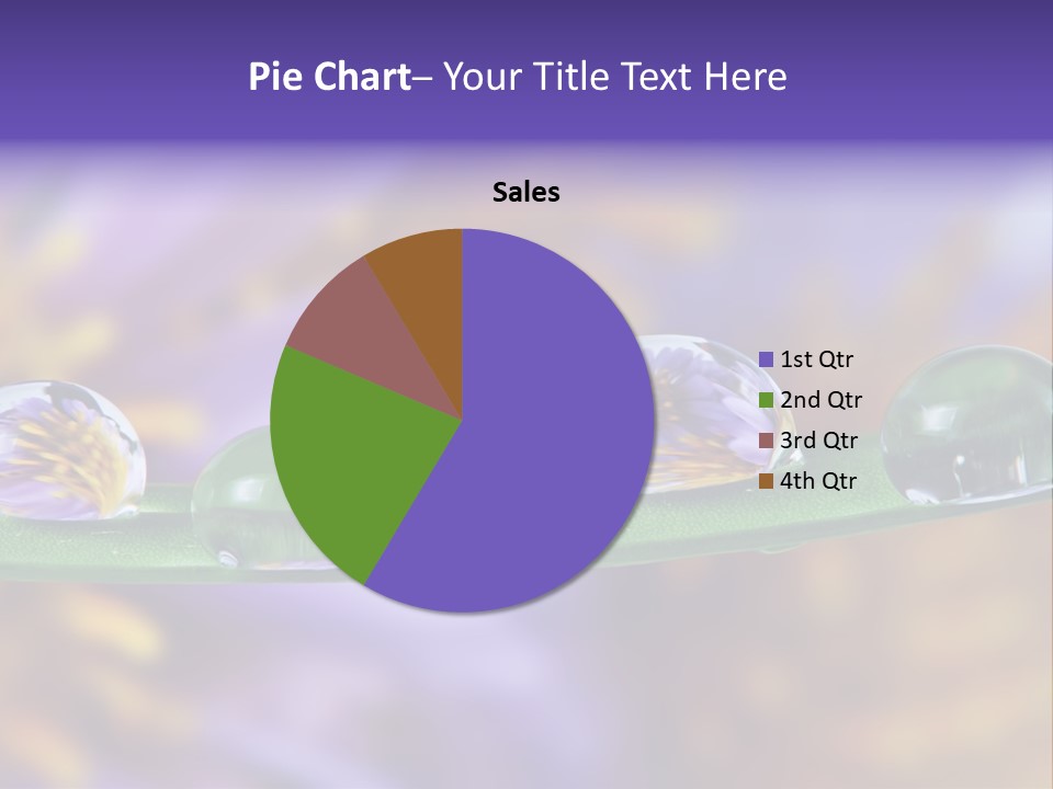 Mirroring Daisy Grass PowerPoint Template