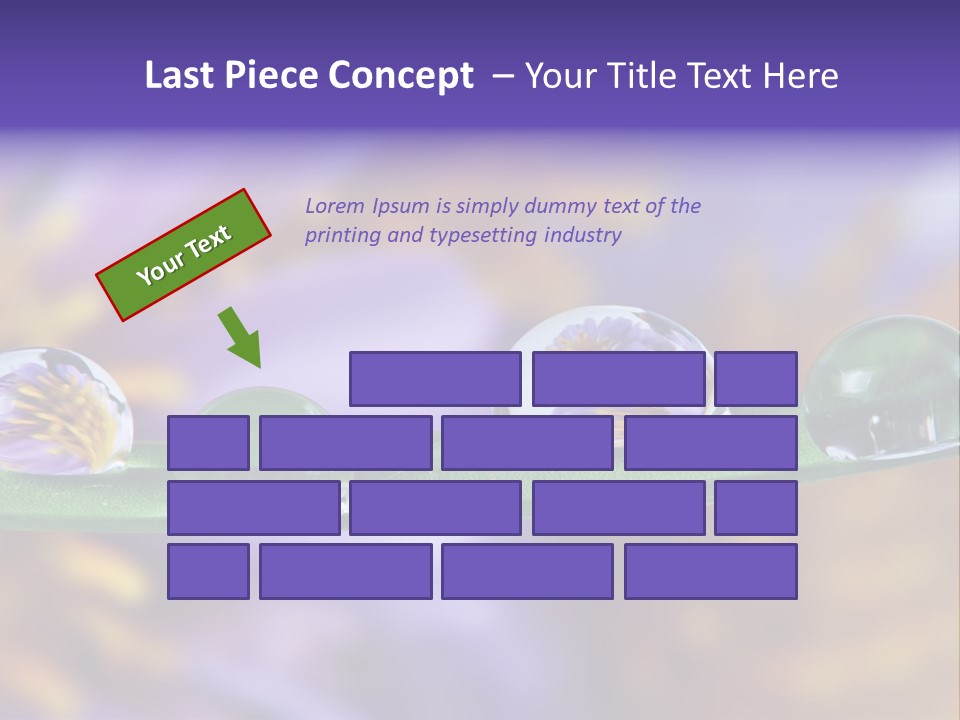 Mirroring Daisy Grass PowerPoint Template