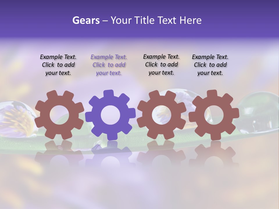 Mirroring Daisy Grass PowerPoint Template