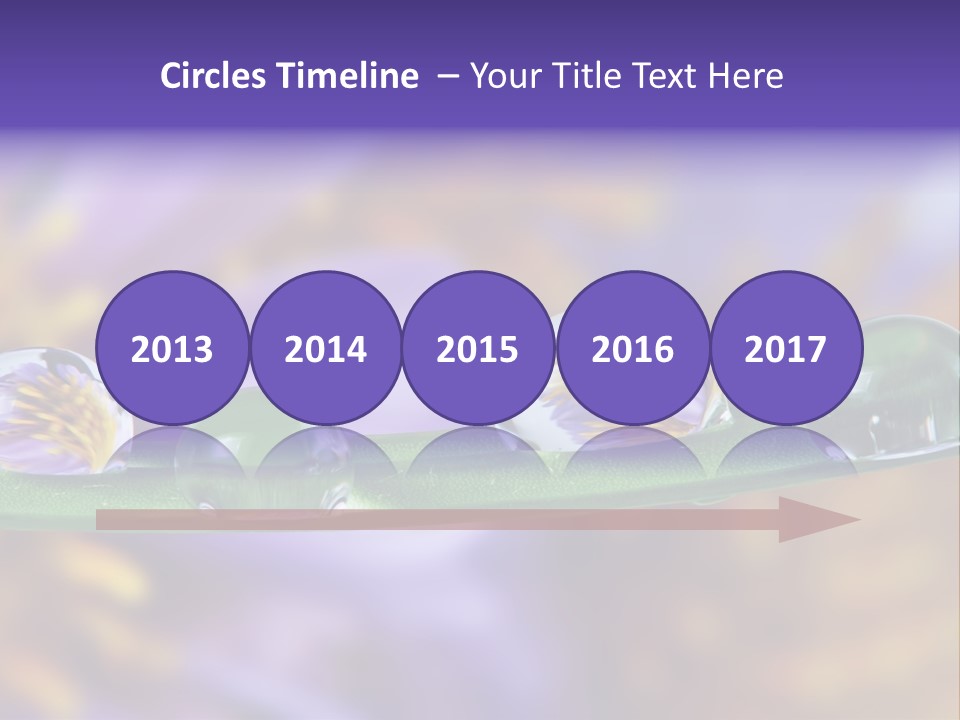 Mirroring Daisy Grass PowerPoint Template