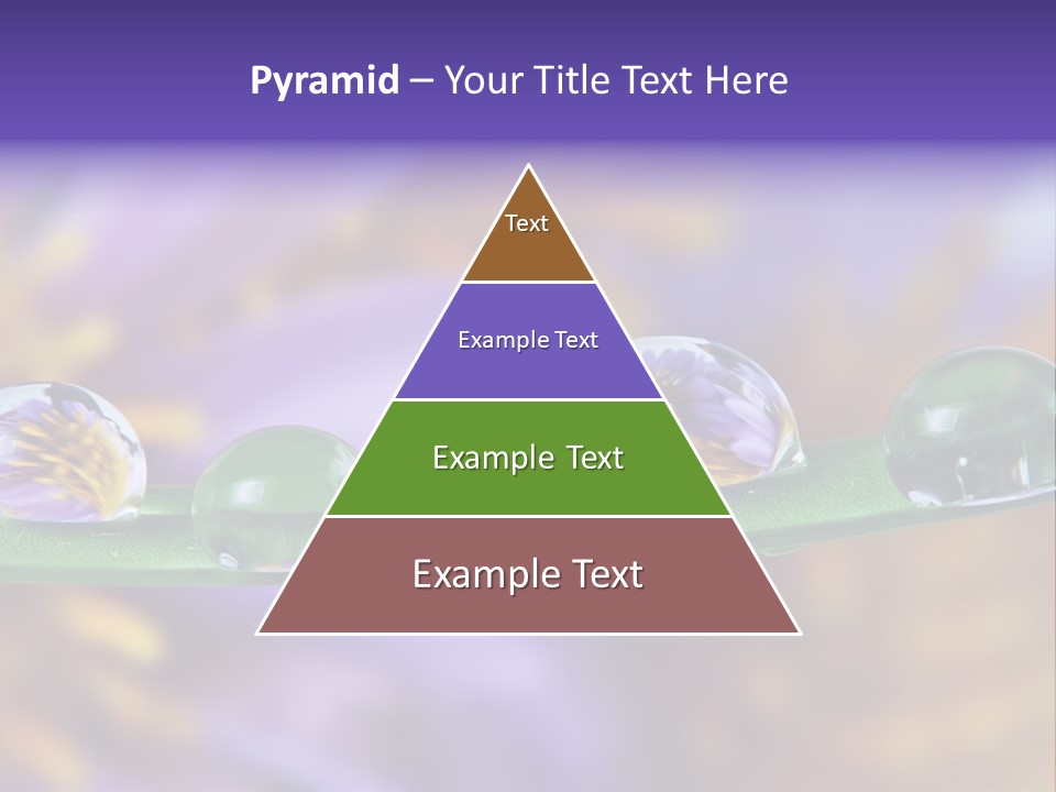 Mirroring Daisy Grass PowerPoint Template