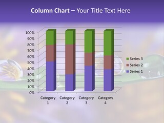 Mirroring Daisy Grass PowerPoint Template