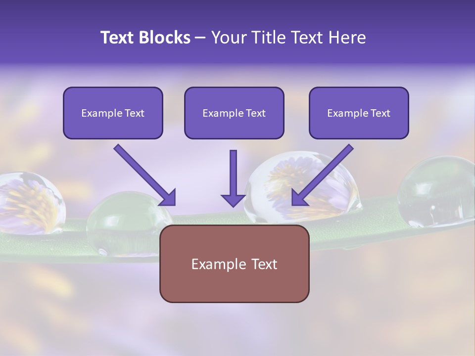 Mirroring Daisy Grass PowerPoint Template
