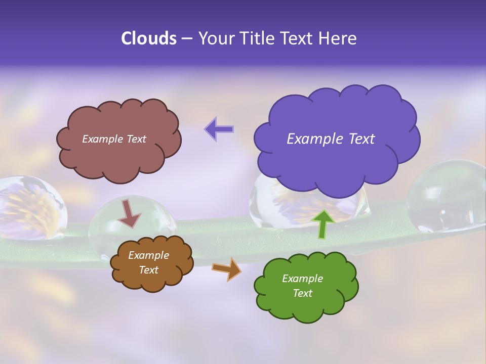 Mirroring Daisy Grass PowerPoint Template