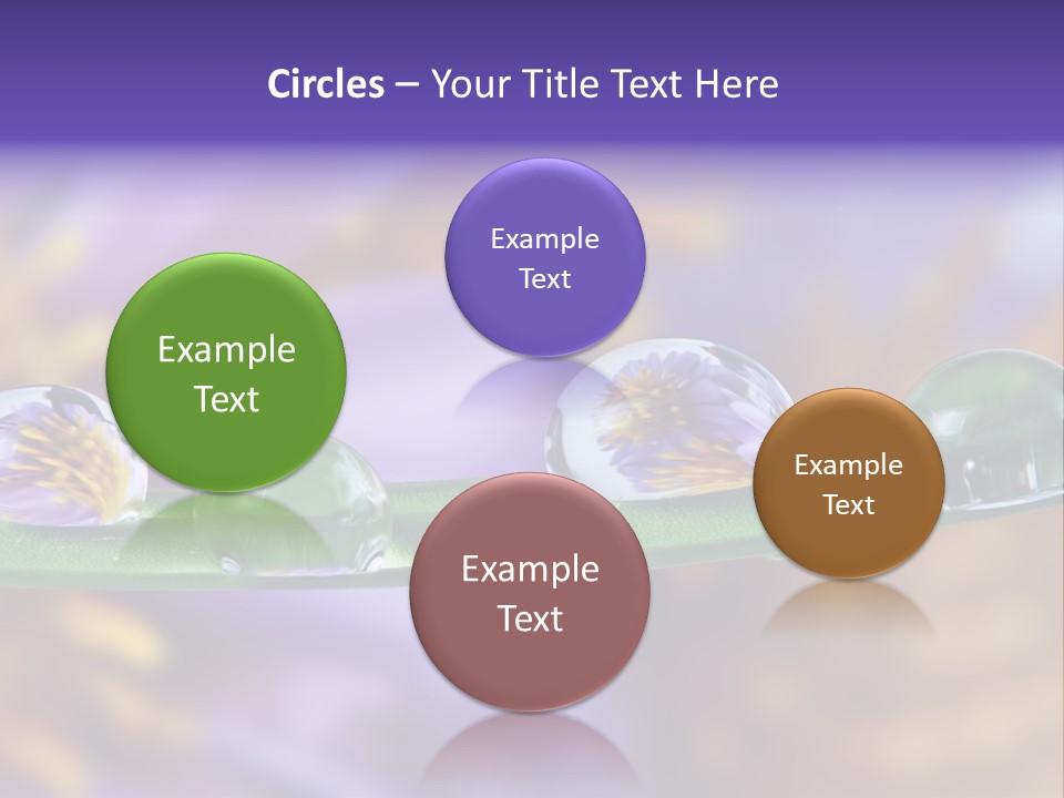 Mirroring Daisy Grass PowerPoint Template