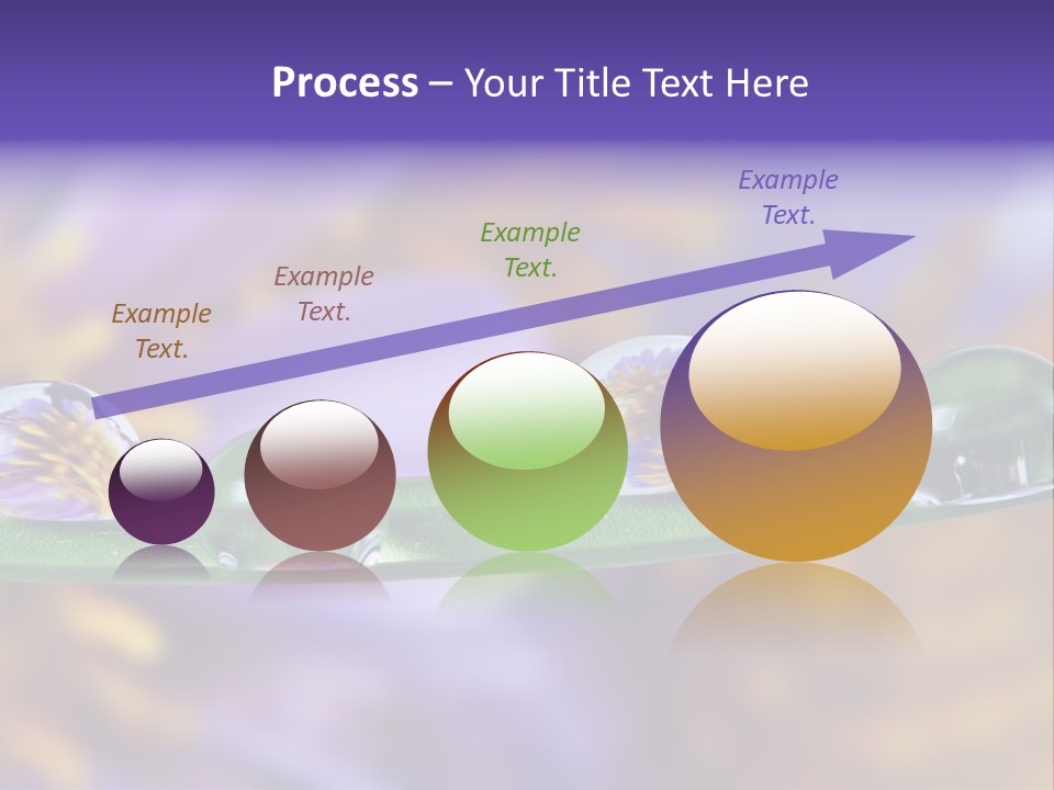 Mirroring Daisy Grass PowerPoint Template