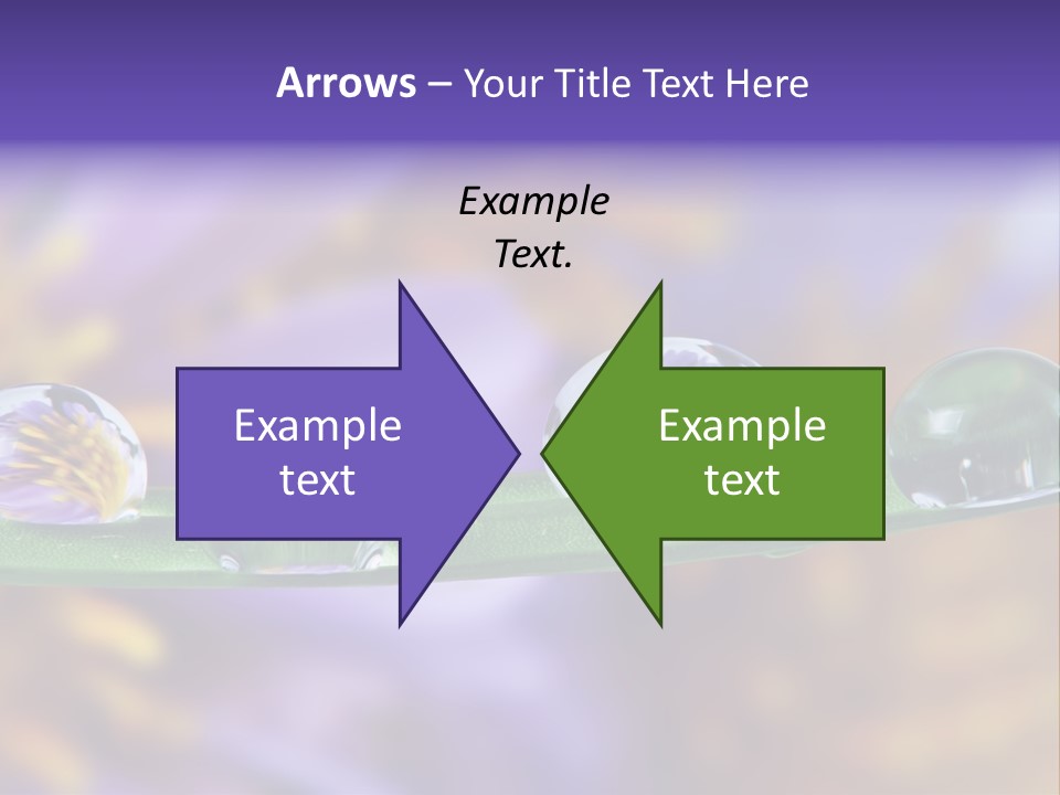 Mirroring Daisy Grass PowerPoint Template