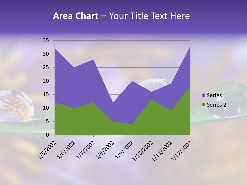 Mirroring Daisy Grass PowerPoint Template