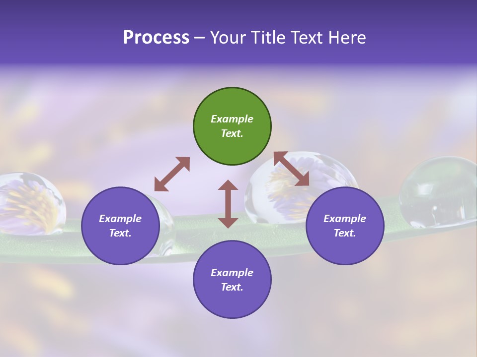Mirroring Daisy Grass PowerPoint Template