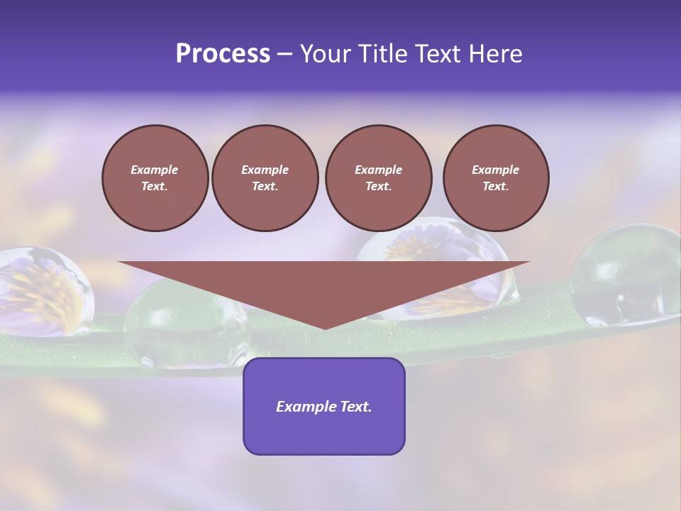 Mirroring Daisy Grass PowerPoint Template