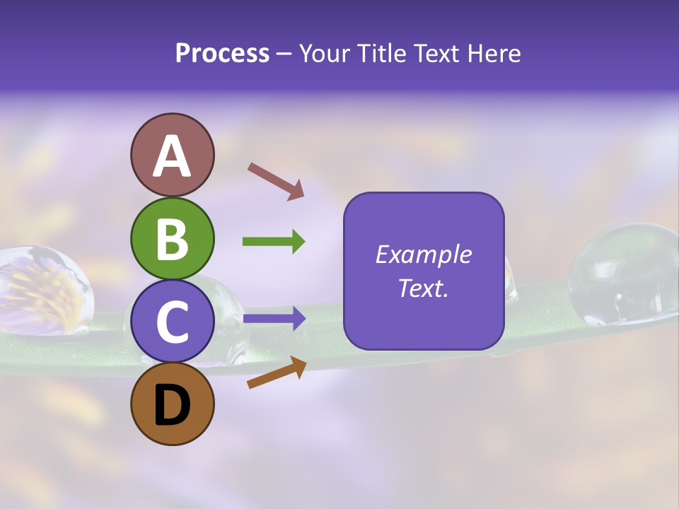 Mirroring Daisy Grass PowerPoint Template