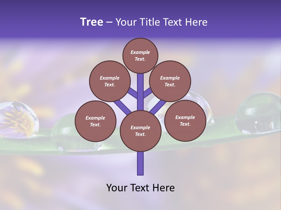 Mirroring Daisy Grass PowerPoint Template