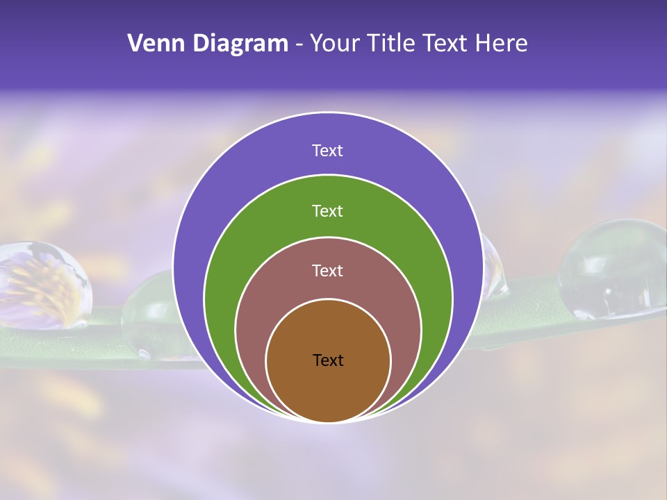 Mirroring Daisy Grass PowerPoint Template