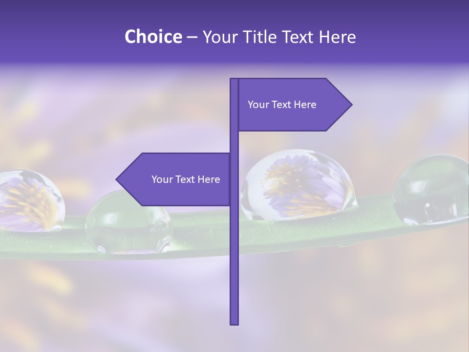 Mirroring Daisy Grass PowerPoint Template