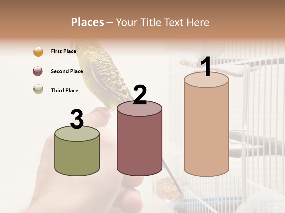 Parrot Cage Tame PowerPoint Template