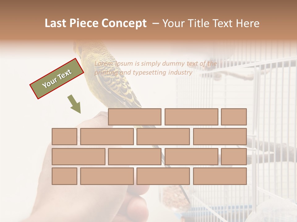 Parrot Cage Tame PowerPoint Template