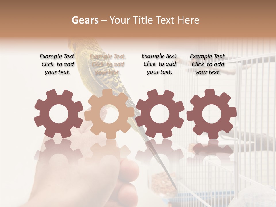 Parrot Cage Tame PowerPoint Template