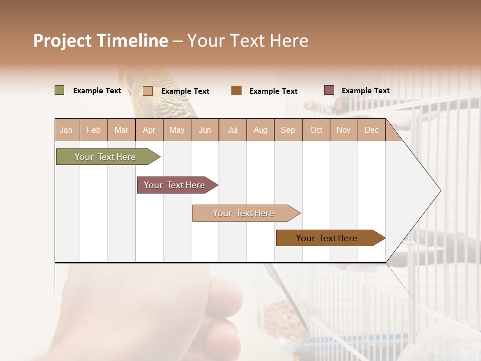 Parrot Cage Tame PowerPoint Template
