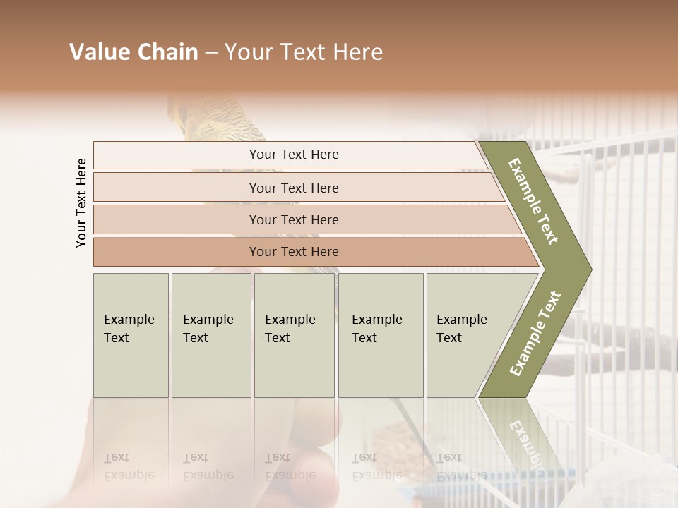 Parrot Cage Tame PowerPoint Template