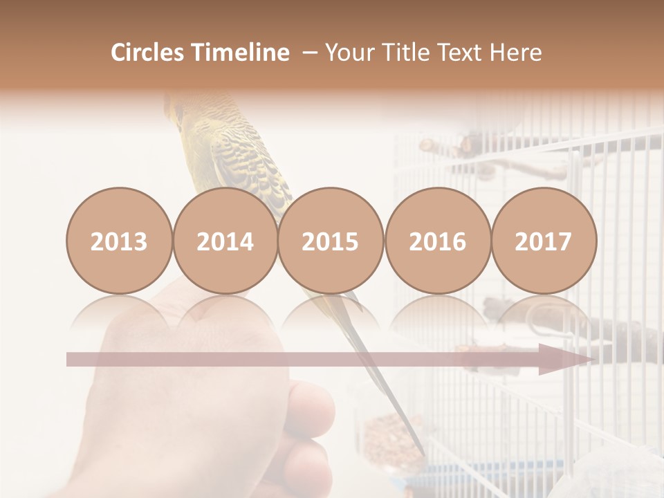 Parrot Cage Tame PowerPoint Template