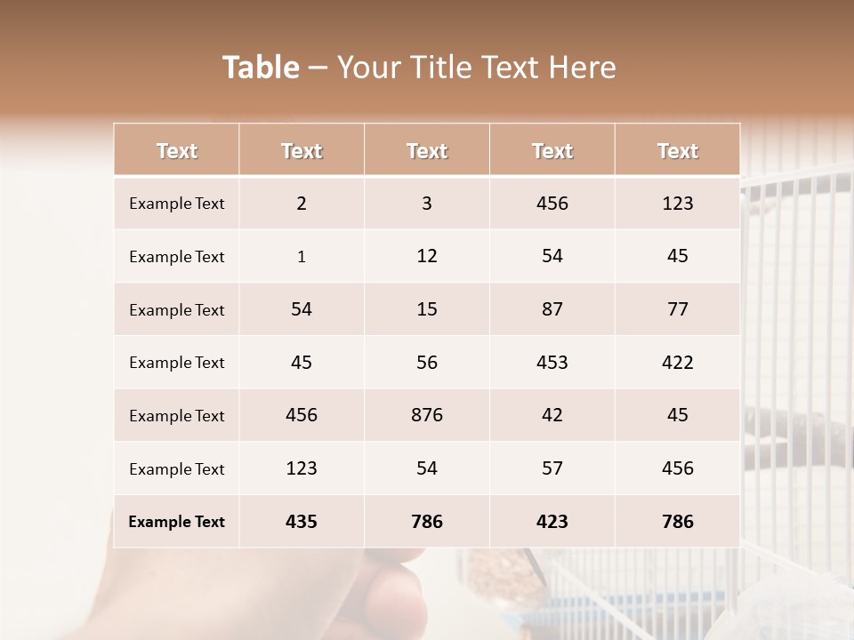 Parrot Cage Tame PowerPoint Template