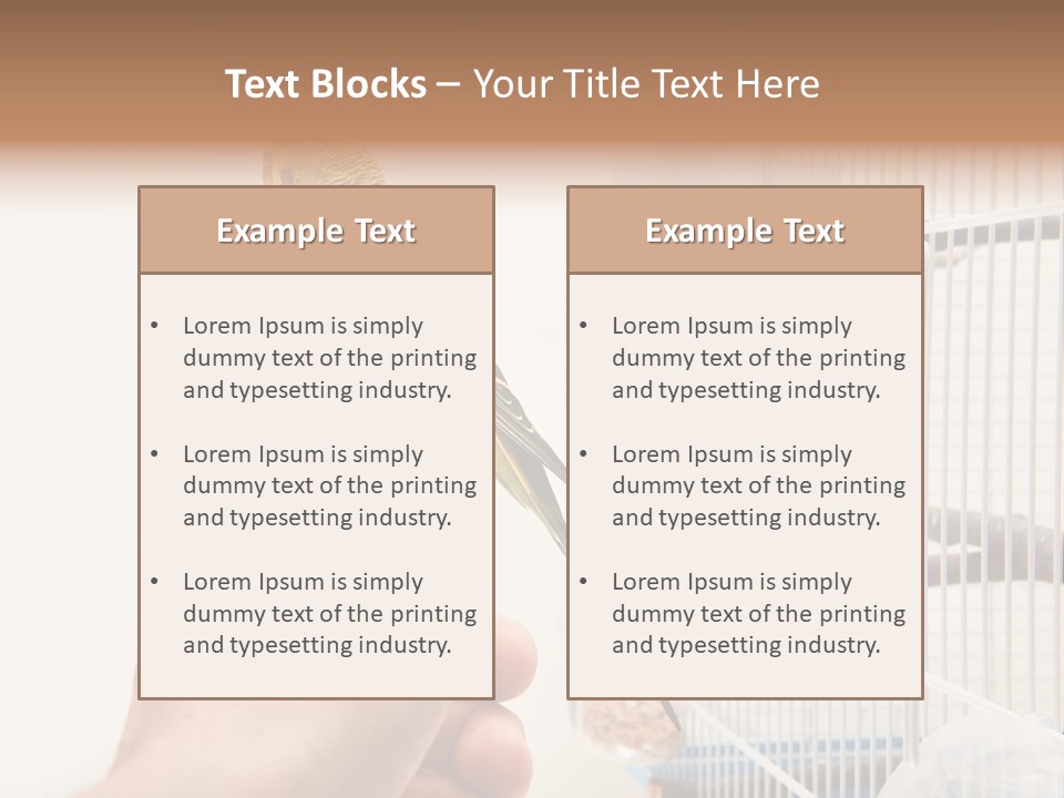 Parrot Cage Tame PowerPoint Template
