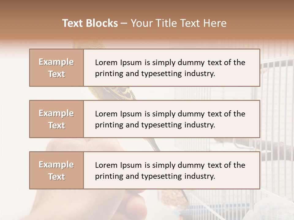 Parrot Cage Tame PowerPoint Template
