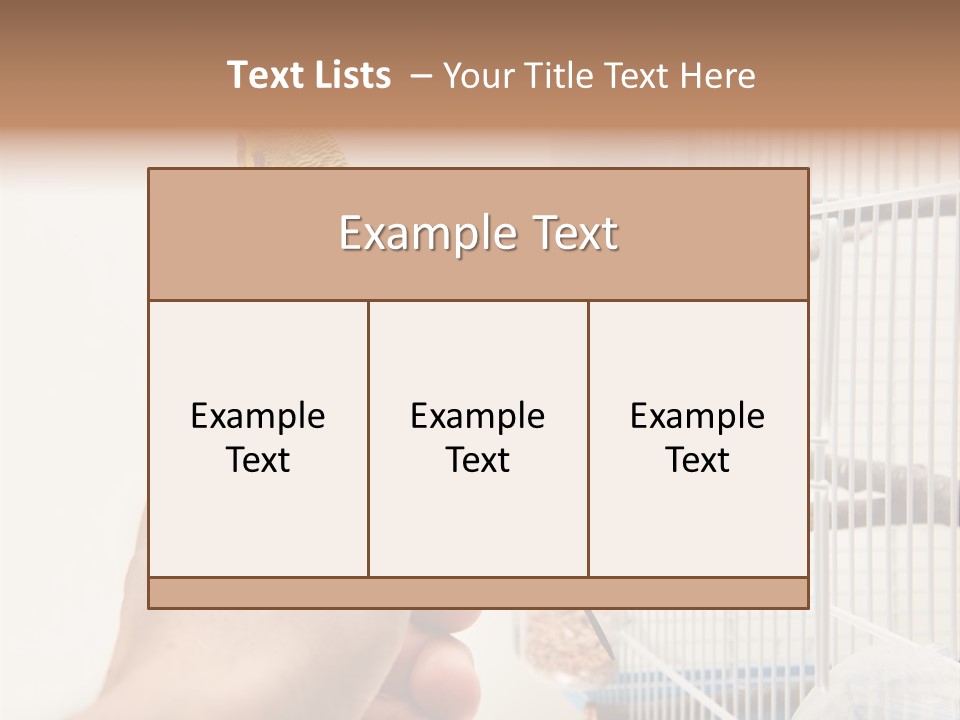 Parrot Cage Tame PowerPoint Template