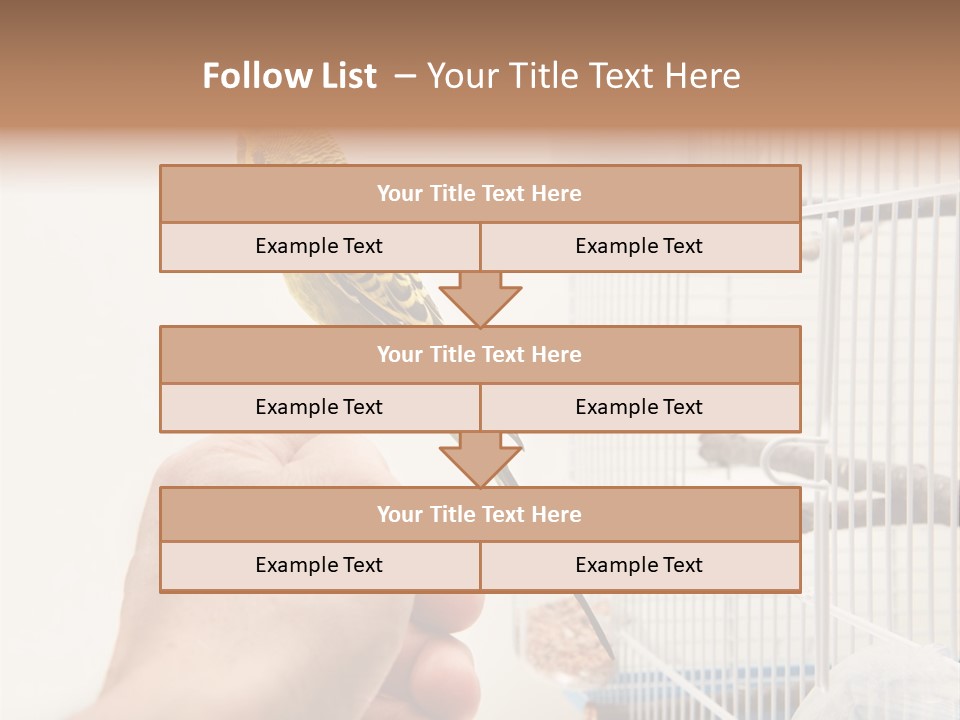 Parrot Cage Tame PowerPoint Template