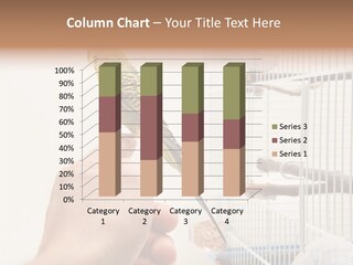 Parrot Cage Tame PowerPoint Template