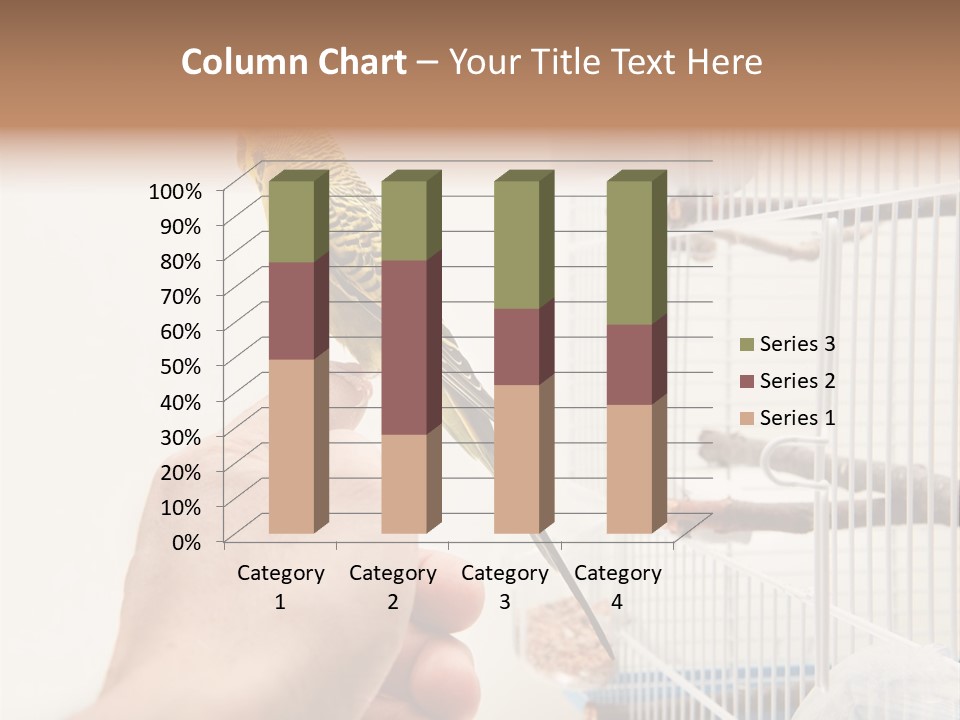 Parrot Cage Tame PowerPoint Template