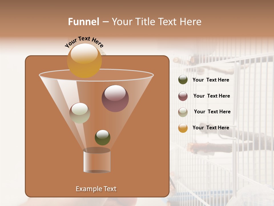 Parrot Cage Tame PowerPoint Template