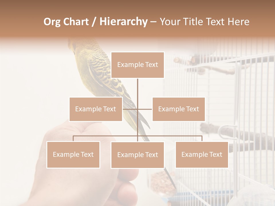 Parrot Cage Tame PowerPoint Template