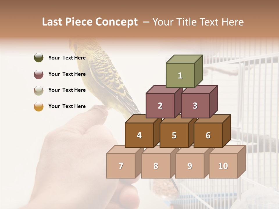 Parrot Cage Tame PowerPoint Template