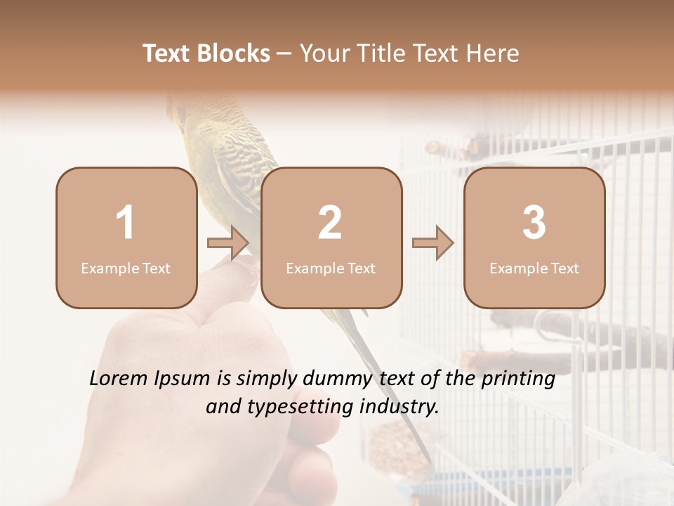 Parrot Cage Tame PowerPoint Template