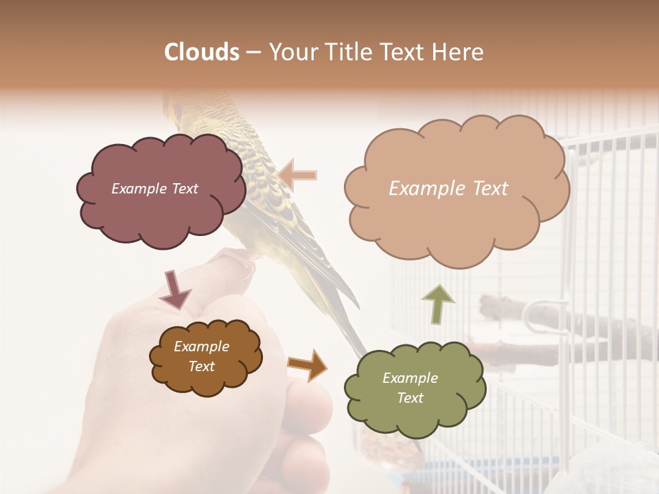 Parrot Cage Tame PowerPoint Template