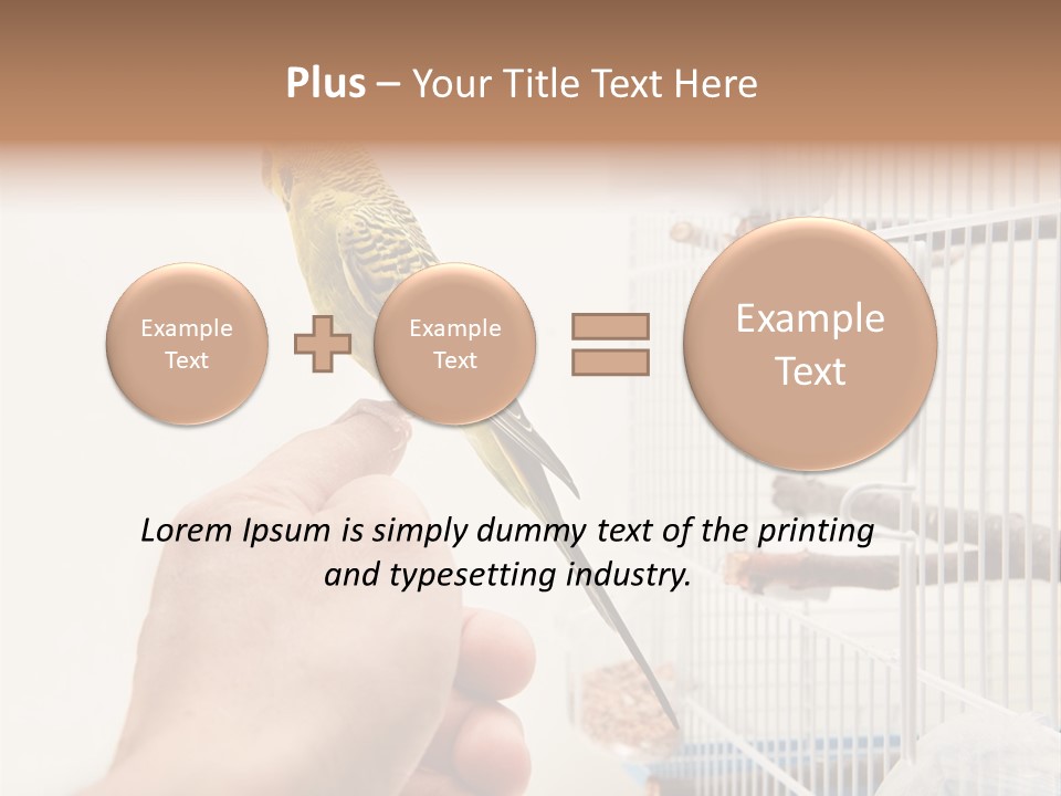 Parrot Cage Tame PowerPoint Template