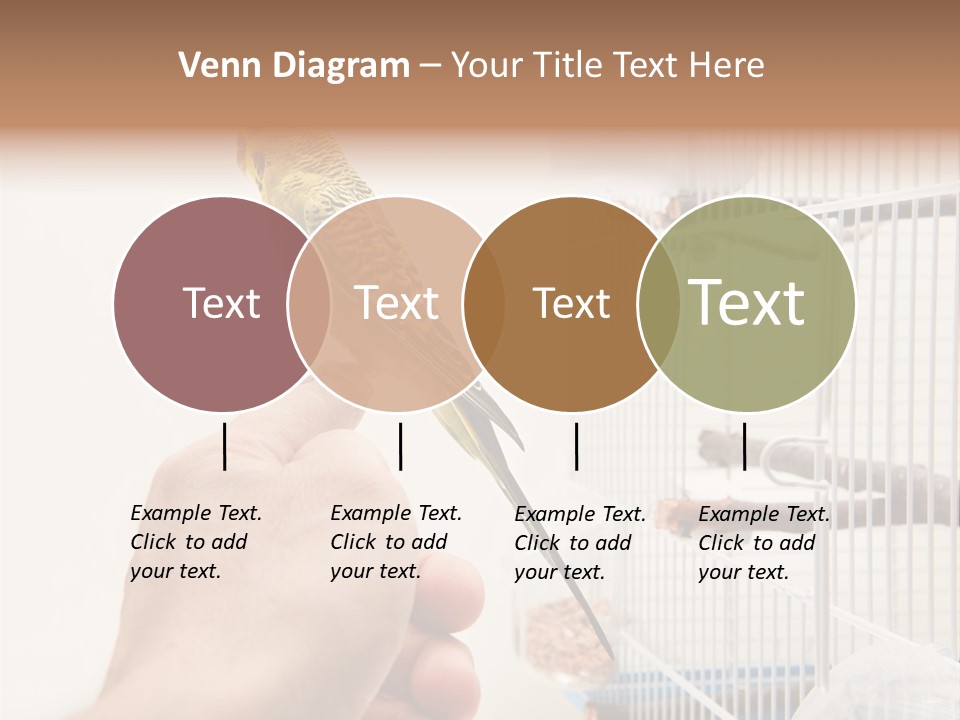 Parrot Cage Tame PowerPoint Template