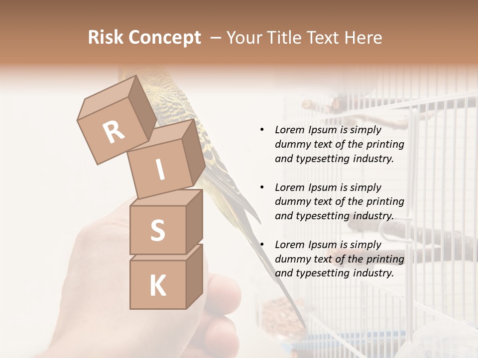 Parrot Cage Tame PowerPoint Template