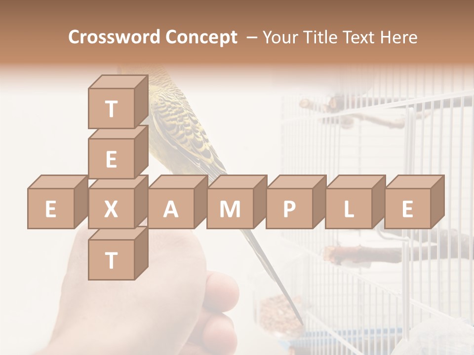 Parrot Cage Tame PowerPoint Template