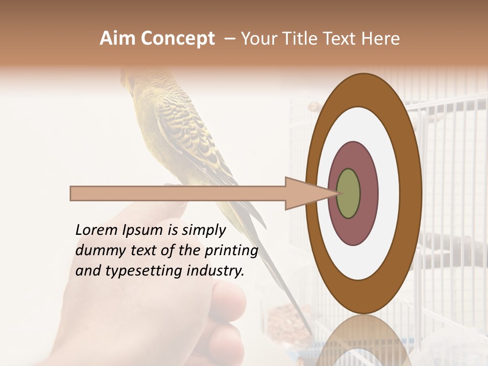 Parrot Cage Tame PowerPoint Template