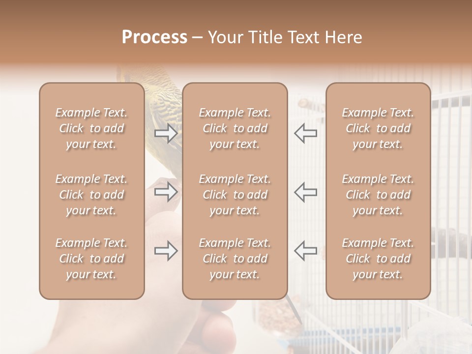 Parrot Cage Tame PowerPoint Template