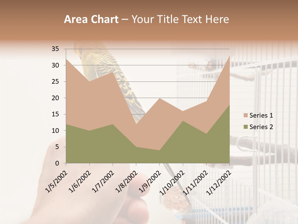 Parrot Cage Tame PowerPoint Template