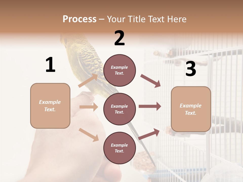 Parrot Cage Tame PowerPoint Template