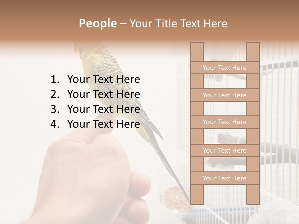 Parrot Cage Tame PowerPoint Template