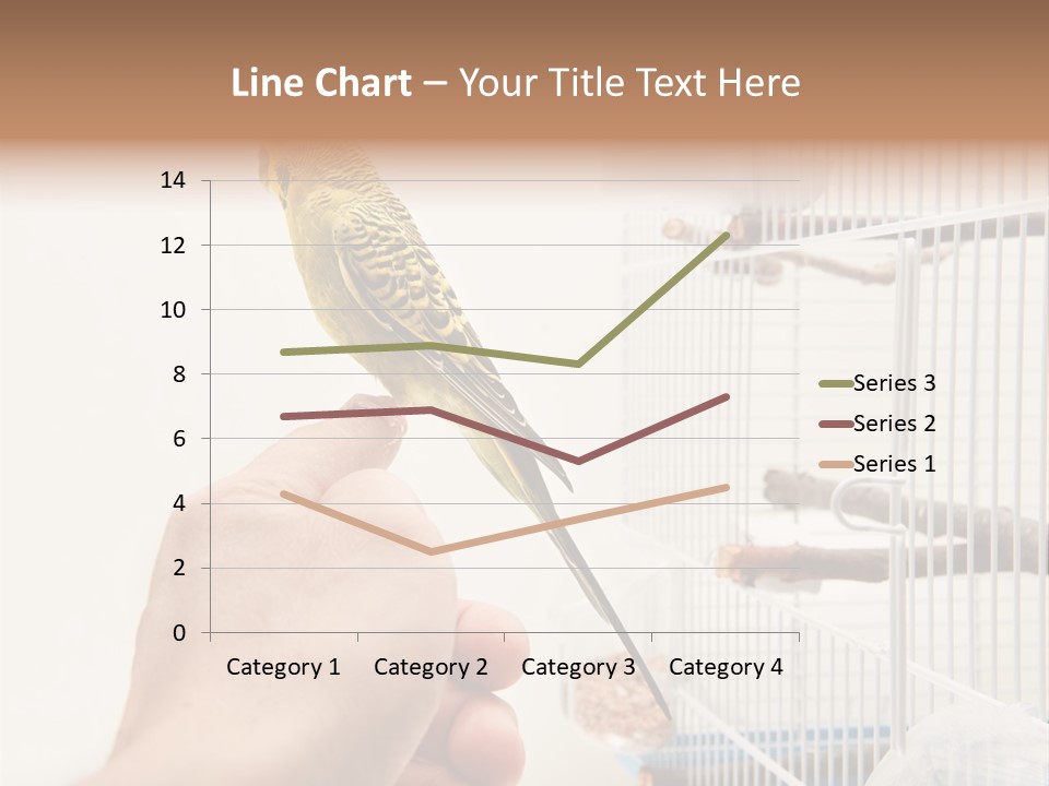Parrot Cage Tame PowerPoint Template