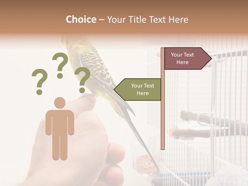 Parrot Cage Tame PowerPoint Template